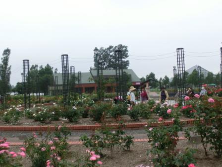 薔薇園.jpg