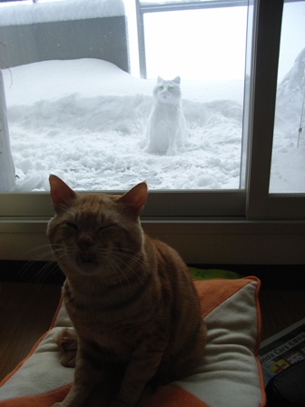 ニャンコ君雪像？