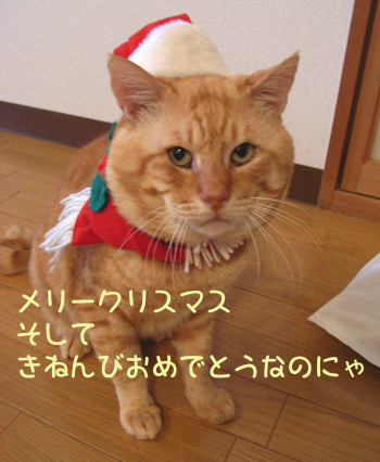 メリークリスマス