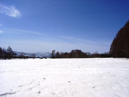 雪原