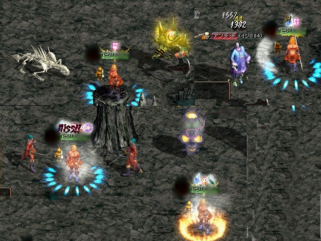 今ニューフェイス達が熱い