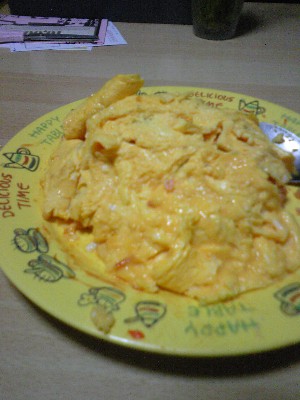 いろんな意味で穴だらけ