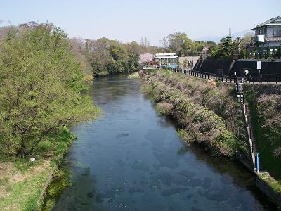 柿田橋上より上流.jpg