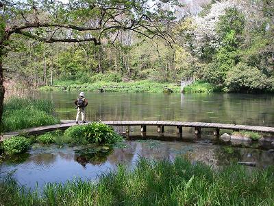 清水小教材園２.jpg