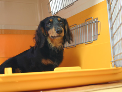 部屋に入った文