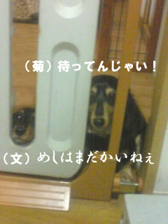 本当はこう言ってるのかも