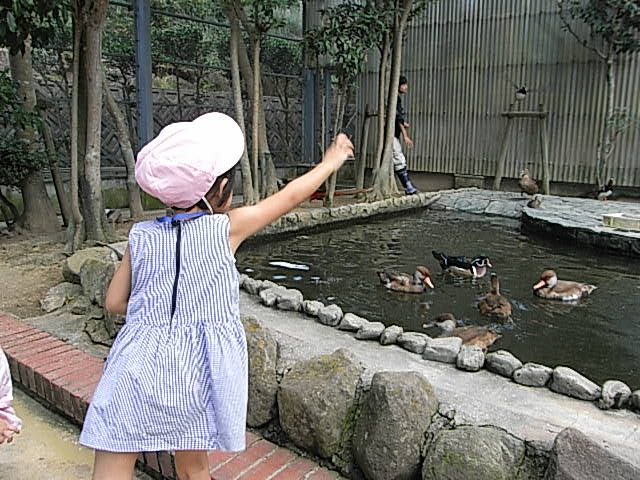 鳥たちに！