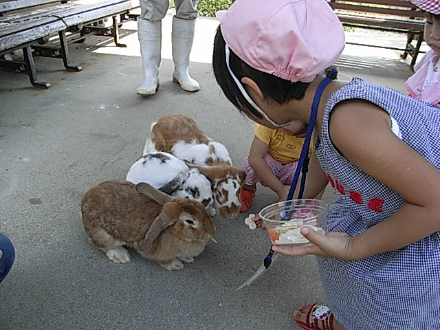 高活性うさぎw