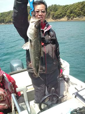 マルスズキ(シーバス)