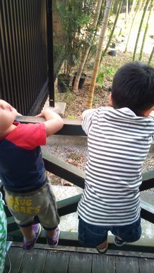 2011-05-15 16.36.27.jpg