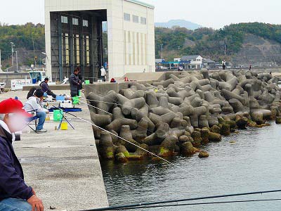 堺漁港14