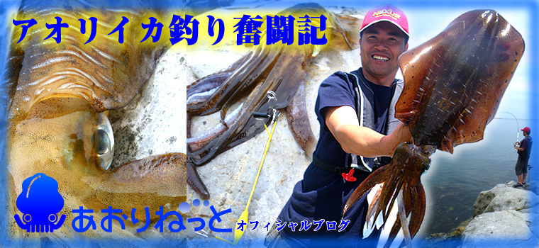 アオリイカ釣り奮闘記 楽天ブログ