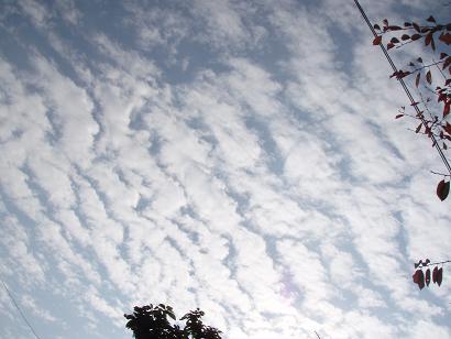 2007　11、　26　空.JPG