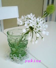 白い花とグラス.jpg