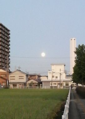 2009100417480000.jpg