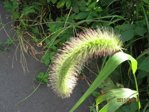 スカイライン 029.jpg