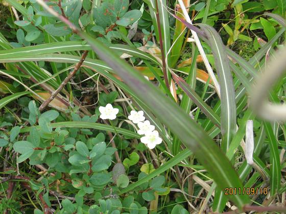 スカイライン 047.jpg