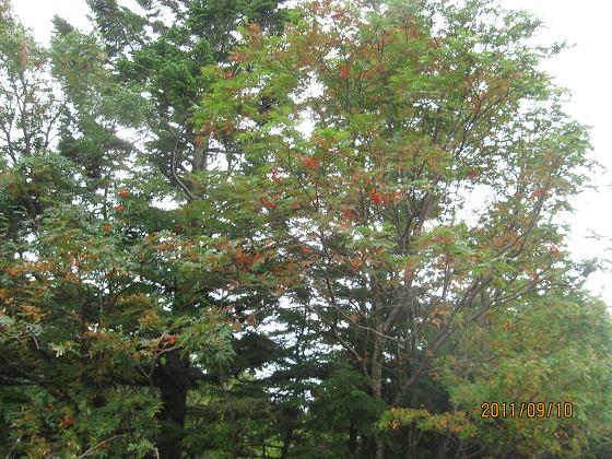 スカイライン 050.jpg