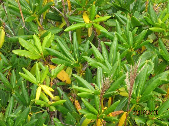 スカイライン 044.jpg