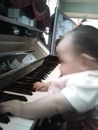 20090612105527.jpg