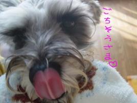 みっく＆るか1 140.JPG