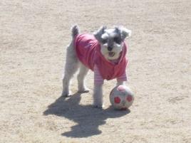 みっくとるか6 203.jpg