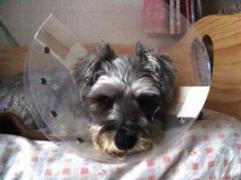 みっく＆るか1 326.jpg