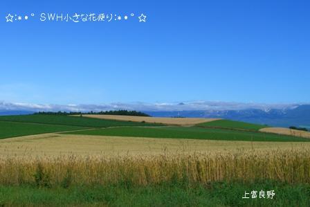 上富良野.JPG