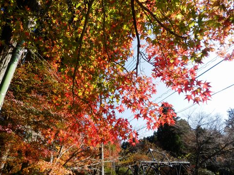 長安寺２.jpg