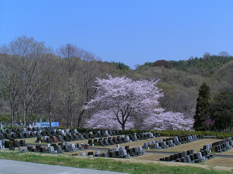 霊園.jpg