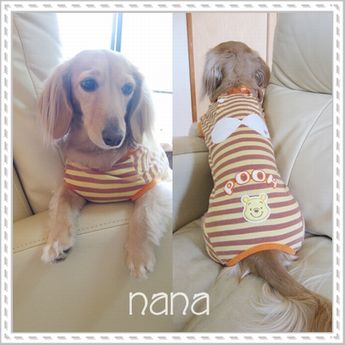 nana091008.jpg