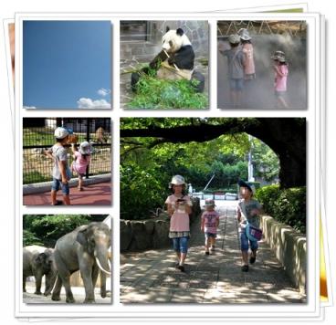動物園