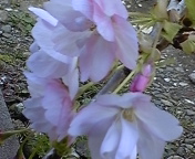2010-04-10 18:27:04