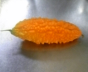 2009-08-01 11:09:20