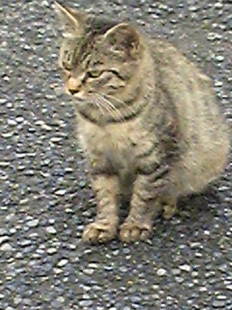2009-07-01 23:45:32