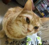 手なめさせて（笑）