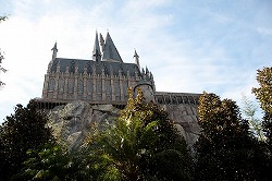 DSC_0403.jpg
