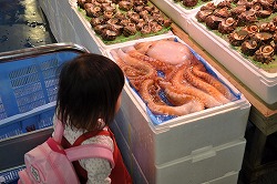 DSC_0645_R.jpg
