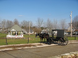 IMG_3477.jpg
