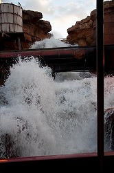 DSC_1000.jpg