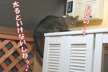 里親　太るとね～.jpg