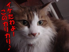 あず　美味しかった.jpg