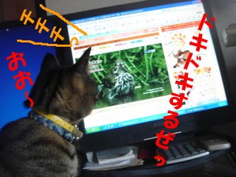 蘭　どきどき.jpg