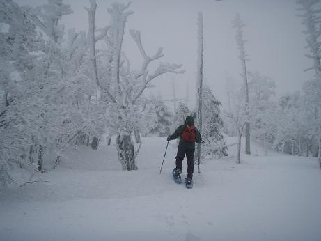 たんたんリーダー