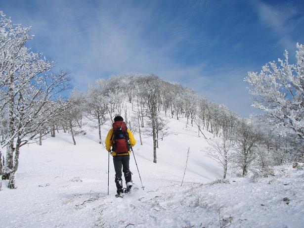 早い早い早いスー氏