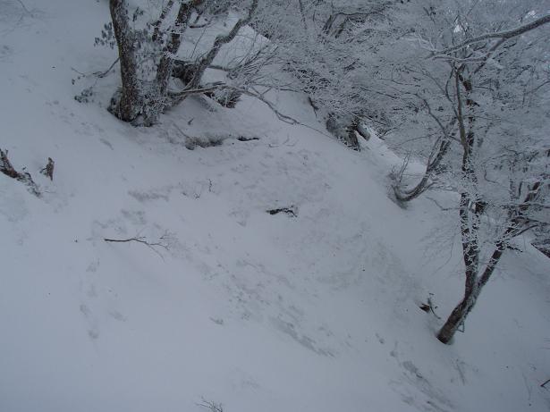 稲村本峰トラバース