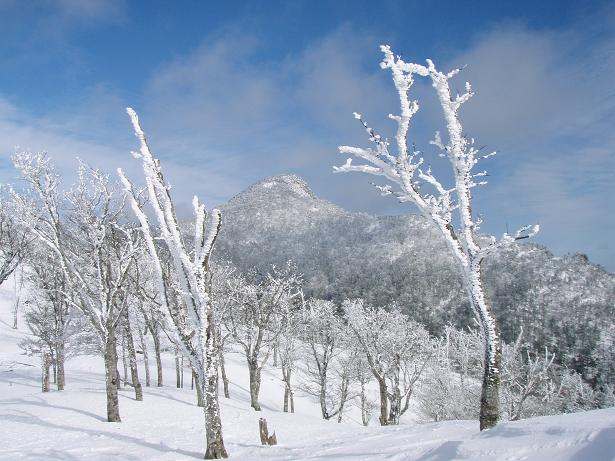 (￣(エ) ￣ ) ﾝｰ　ビューティフ～