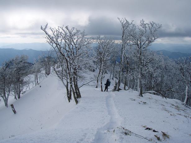 ぺッタラペッタラパッタラパッタラ