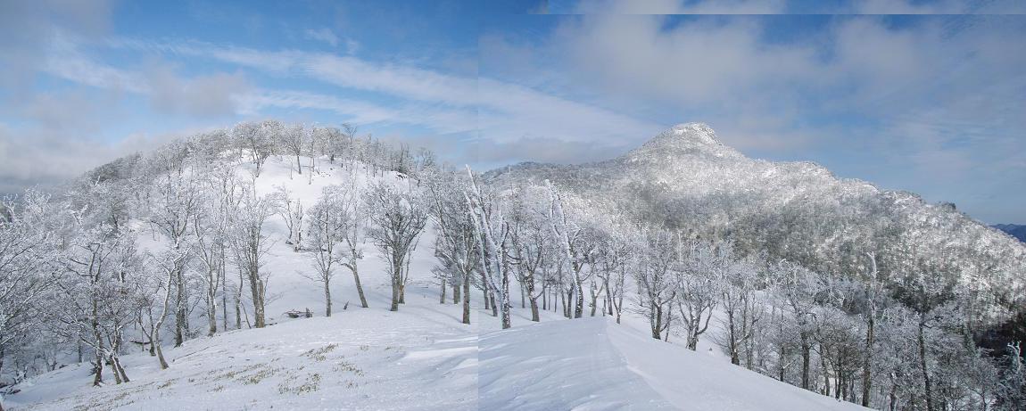 古田の森をパノラマ