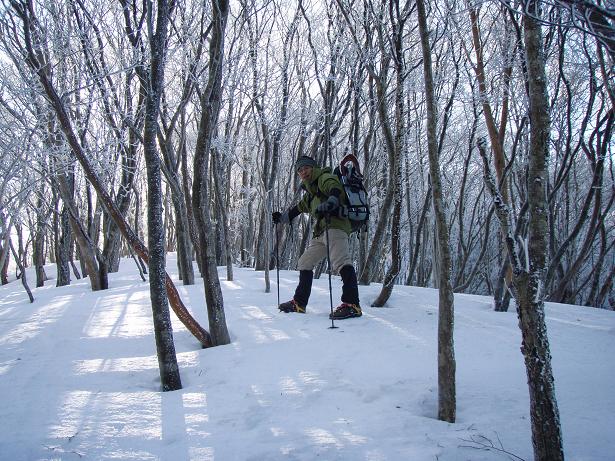 結構な傾斜です。。。ヒー